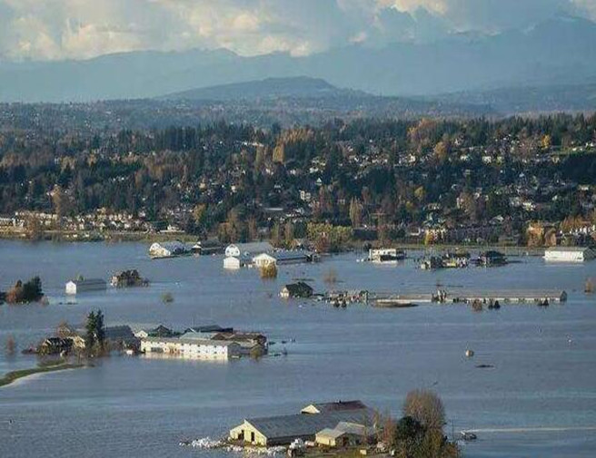 918������(�й���)�ٷ���վ